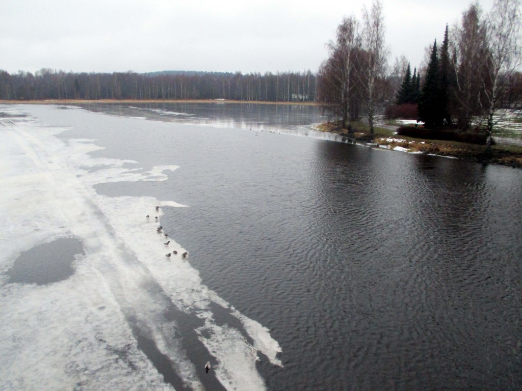 VANAJAVESI ON HELMIKUUN ALKUPUOLELLA JO LÄHES SULA