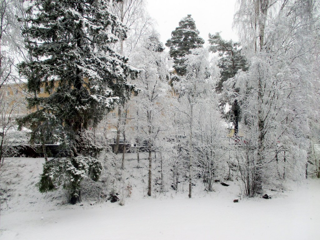 TALVINEN NÄKYMÄ KEITTIÖN IKKUNASTA