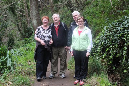 levada camacha –&nbsp;monte