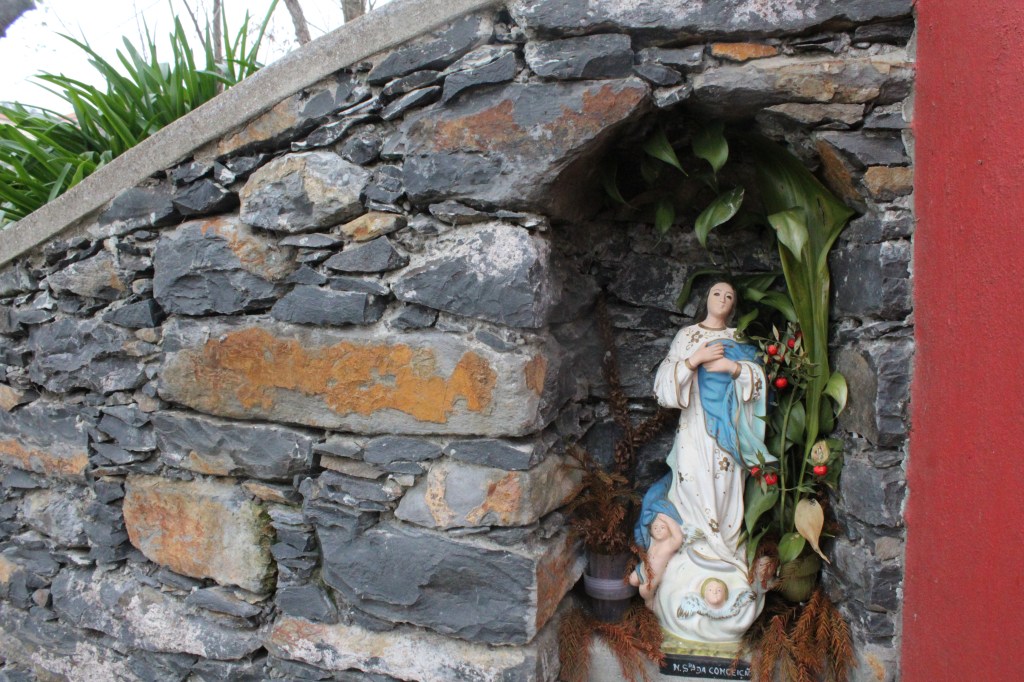 SUOJELUSPYHIMYS YRITTI HELPOTTAA JUSSIN KULKUA