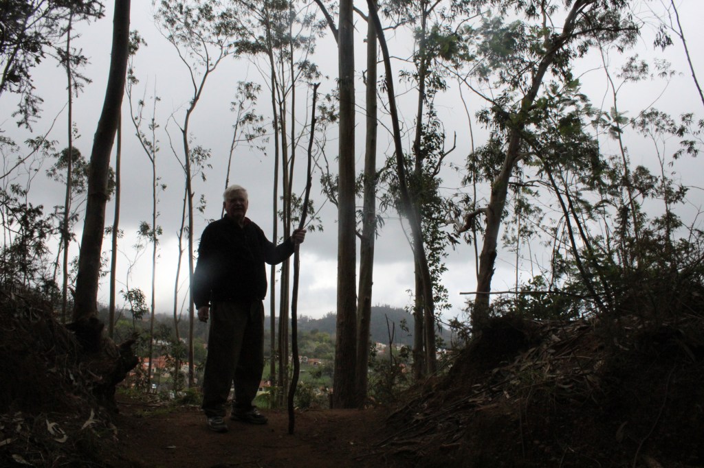 VAELTAJA ESITTELEE KÄVELYSAUVAANSA
