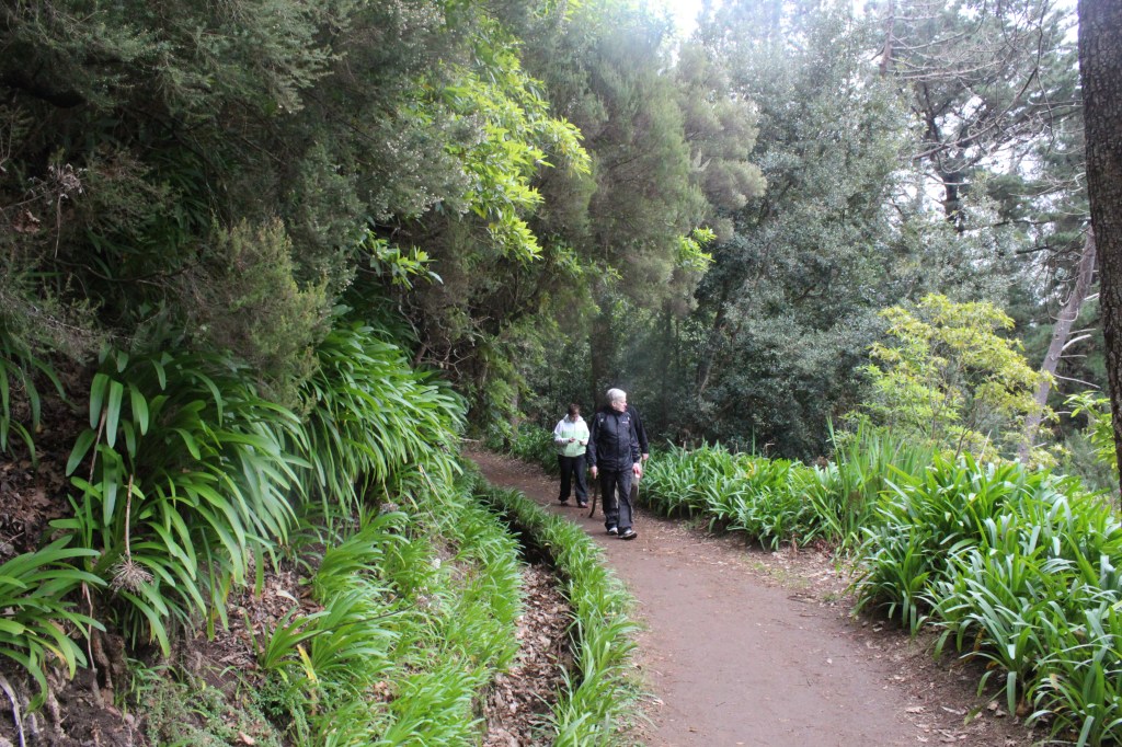 POLKU JATKUI REHEVÄNÄ