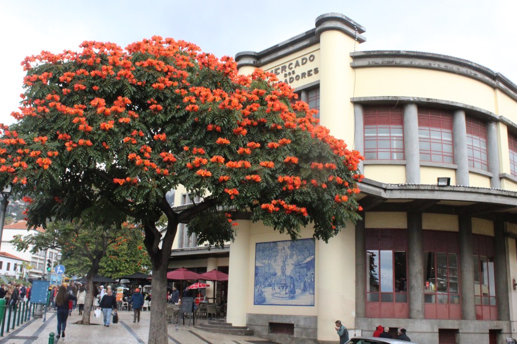 KAUPPAHALLI OLI KIINNOSTAVA