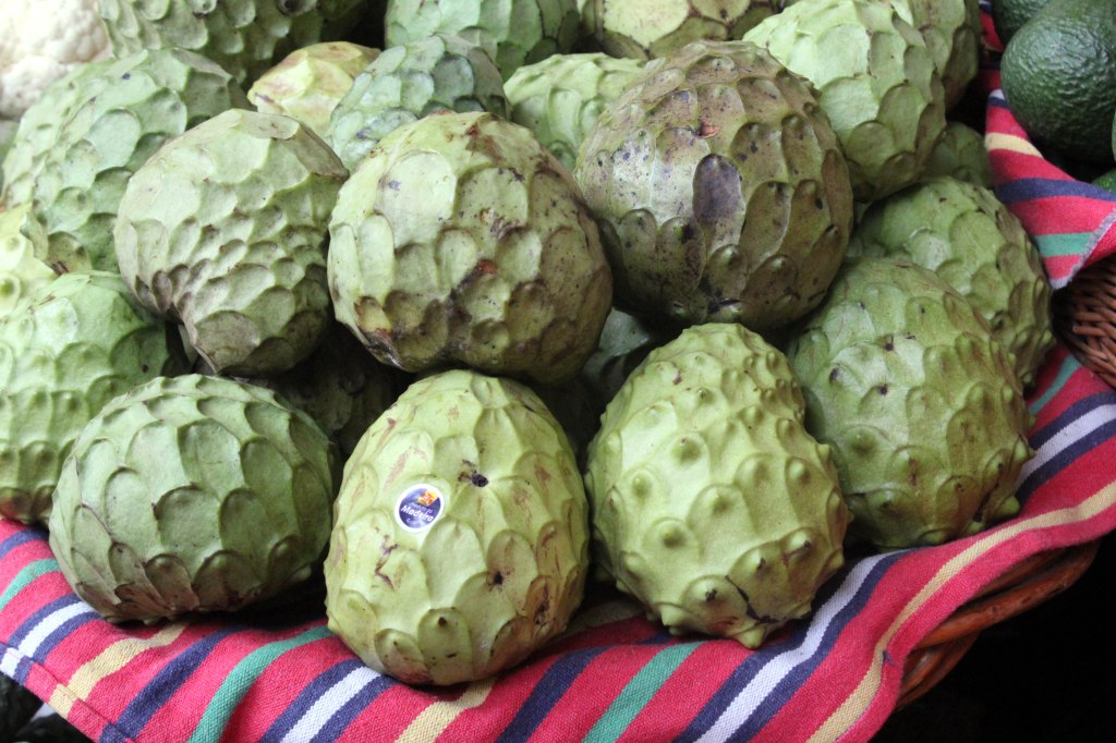 ANOONA OLI KERMAISEN MAKEA 