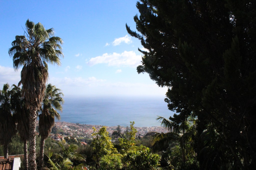 NÄKYMÄ ALAS FUNCHALIIN