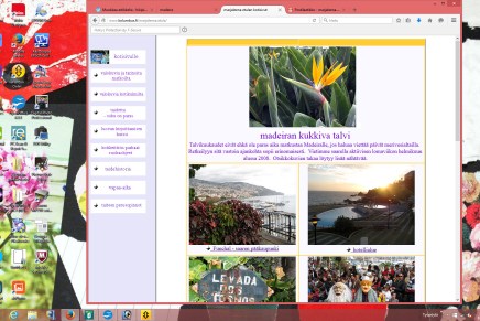 kukkiva madeira helmikuussa&nbsp;2008