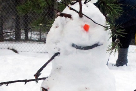 luvassa loskainen viikko