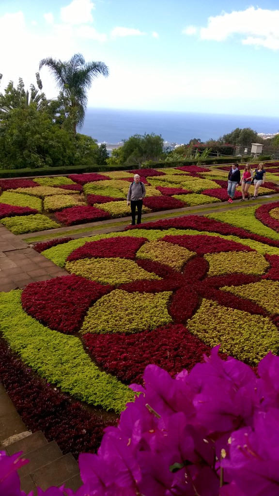 KUKKAISTUTUKSET OLIVAT NÄYTTÄVIÄ