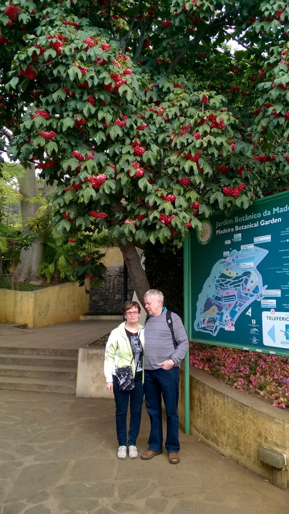 KASVITIETEELLISESSÄ PUUTARHASSA