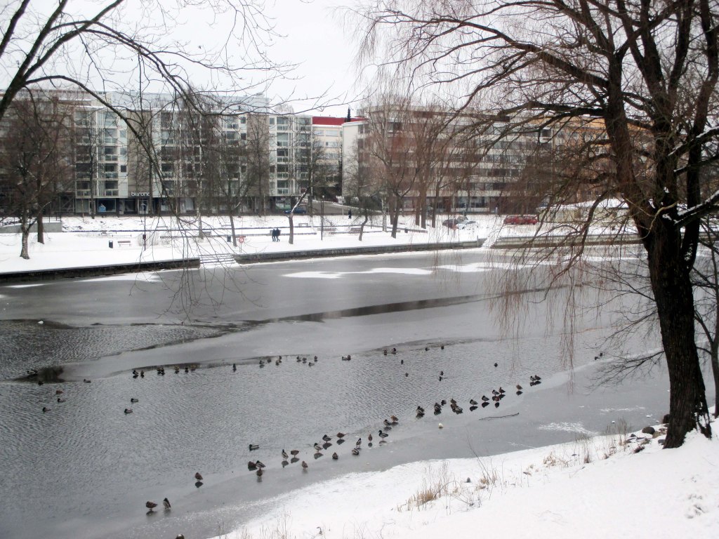 HIIHTOLOMAKELI OLI LEUTO JA PILVINEN