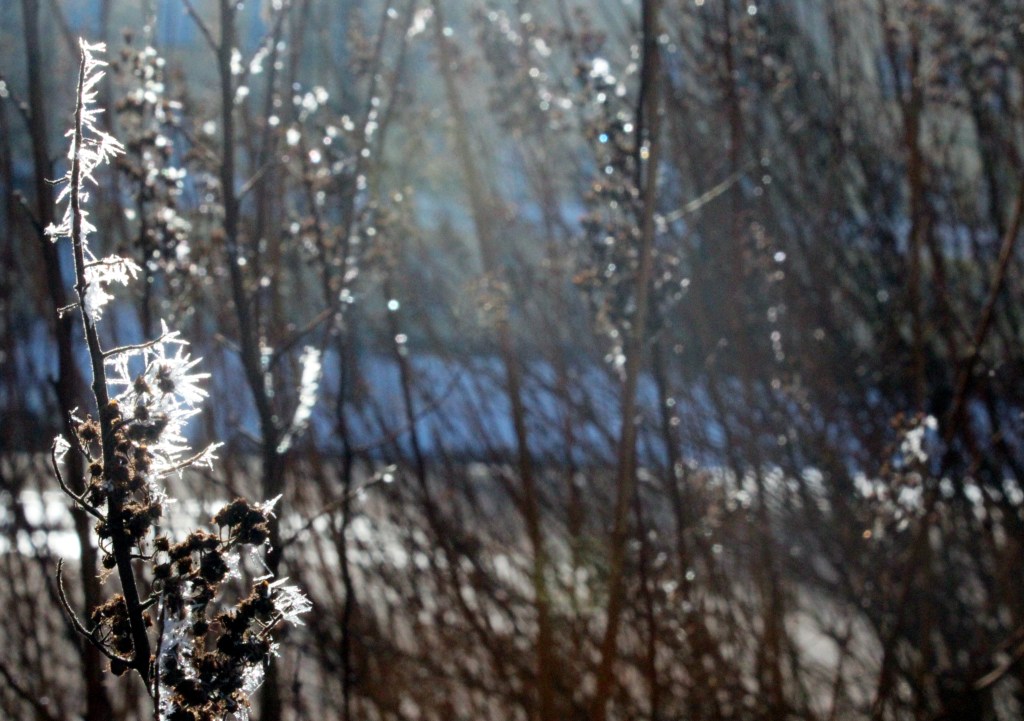 MAALISKUUN AURINGONSÄTEITÄ