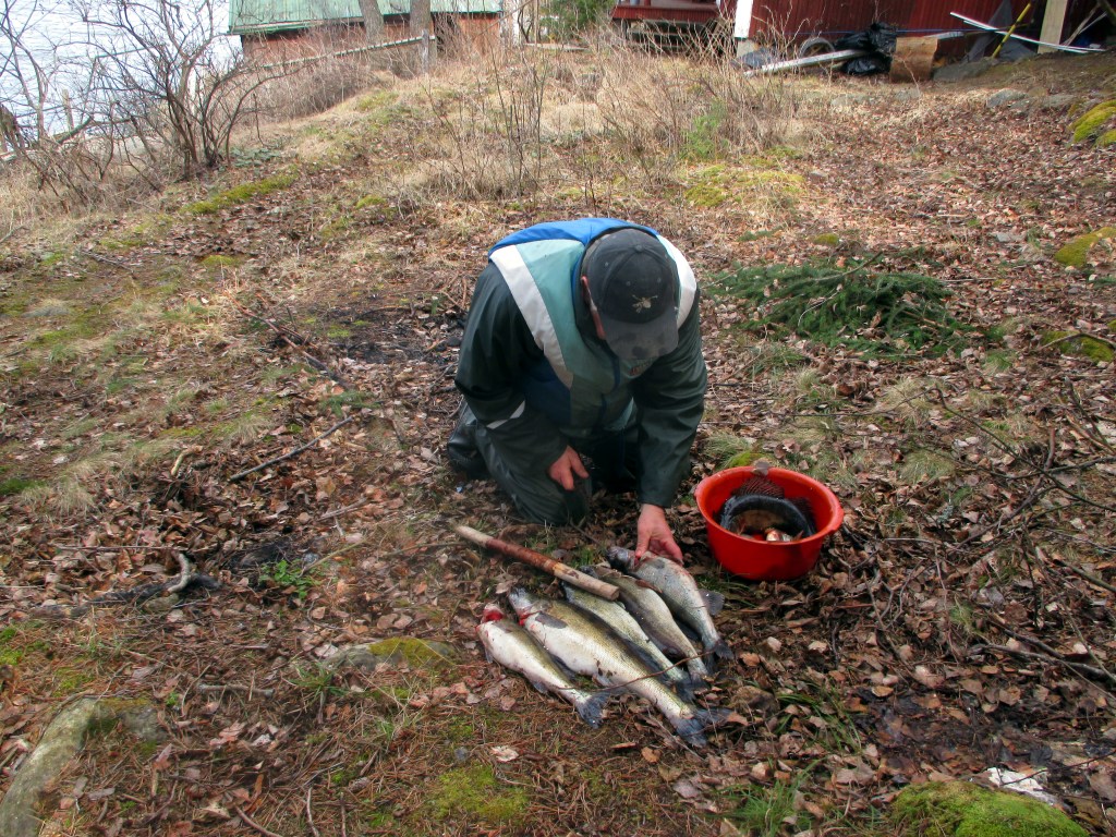 JUSSI SAI VERKOILLA KUUSI KOMEAA KUHAA