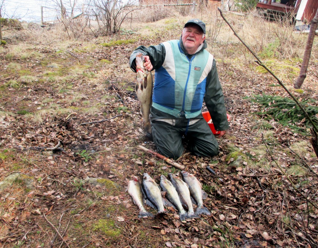VANAJAVEDEN KUHIA, NAM