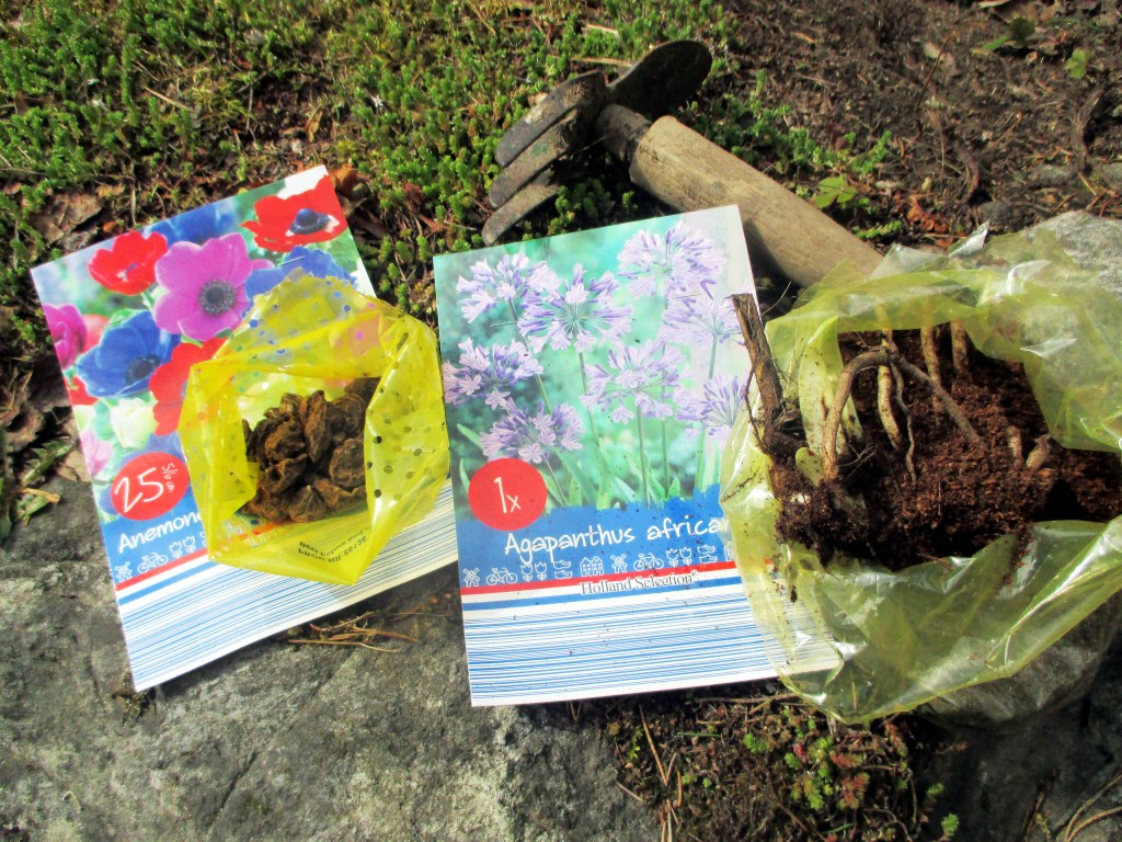 JOTAIN UUTTA KUKKAPENKKIIN