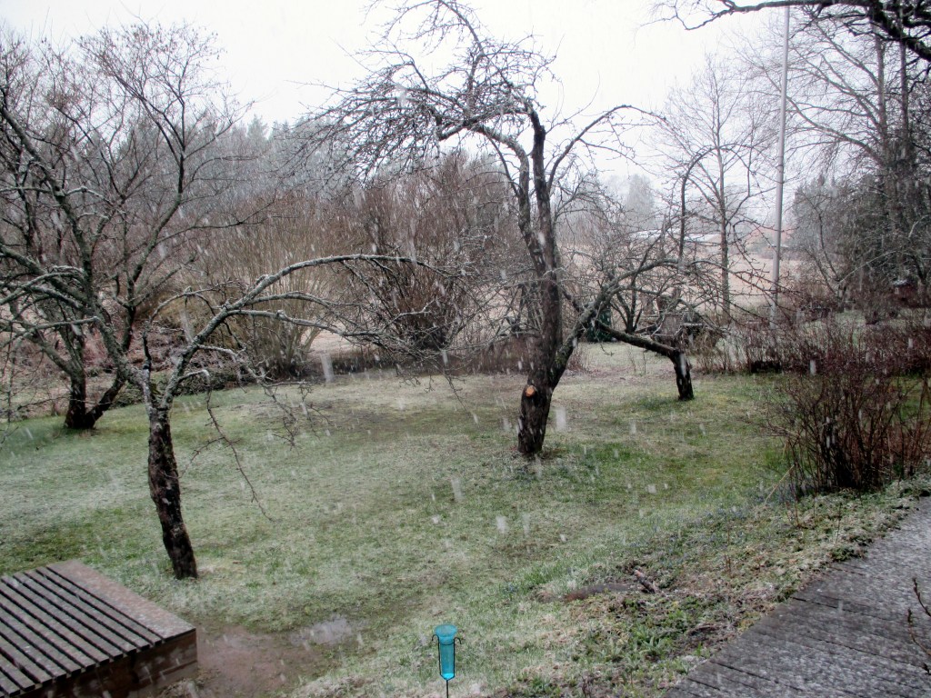 RÄNTÄSADETTA OTSON JA VISAN KOTIPIHALLA