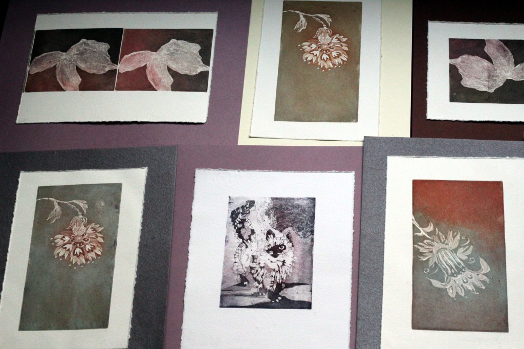 TAIDEGRAFIIKKAVEDOKSIA