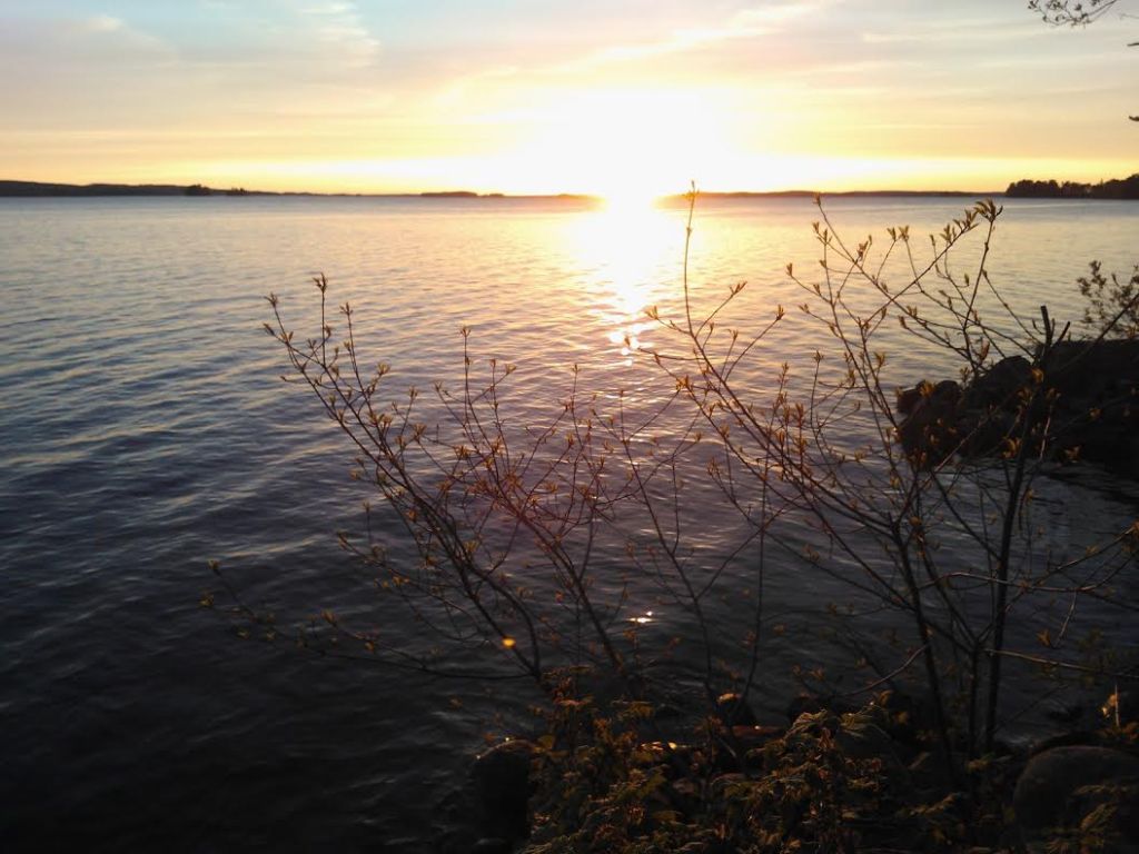 AURINGONLASKU VANAJAVEDELLÄ