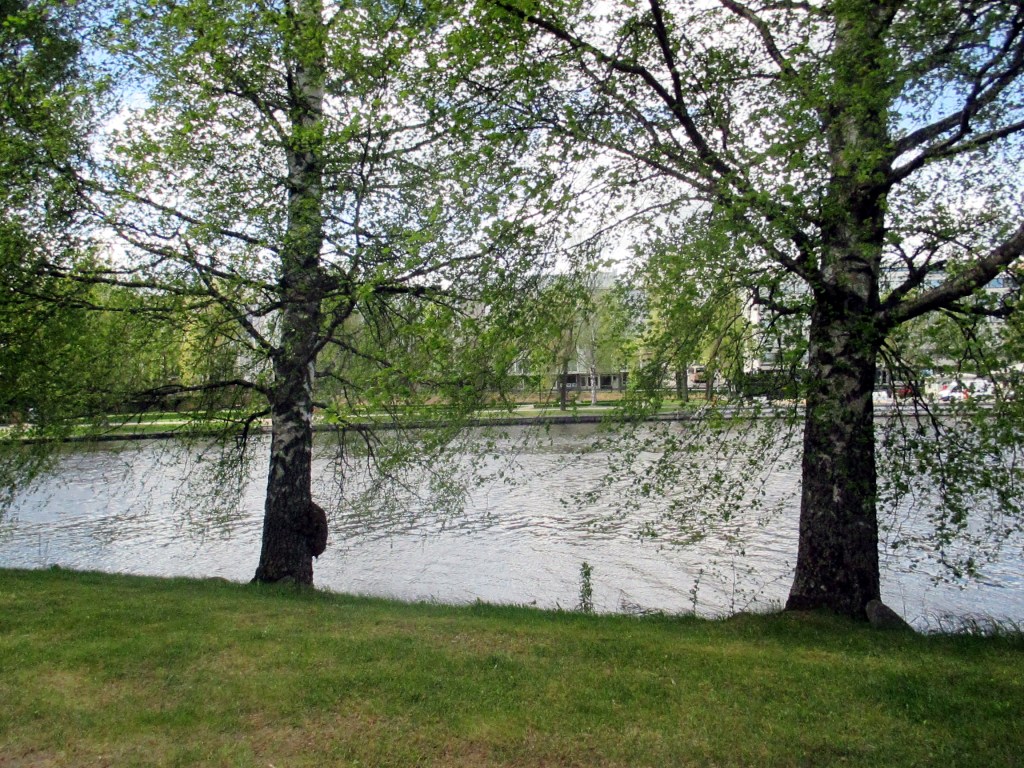 GALLERIA PAPERIHUONE SALMEN TAKANA