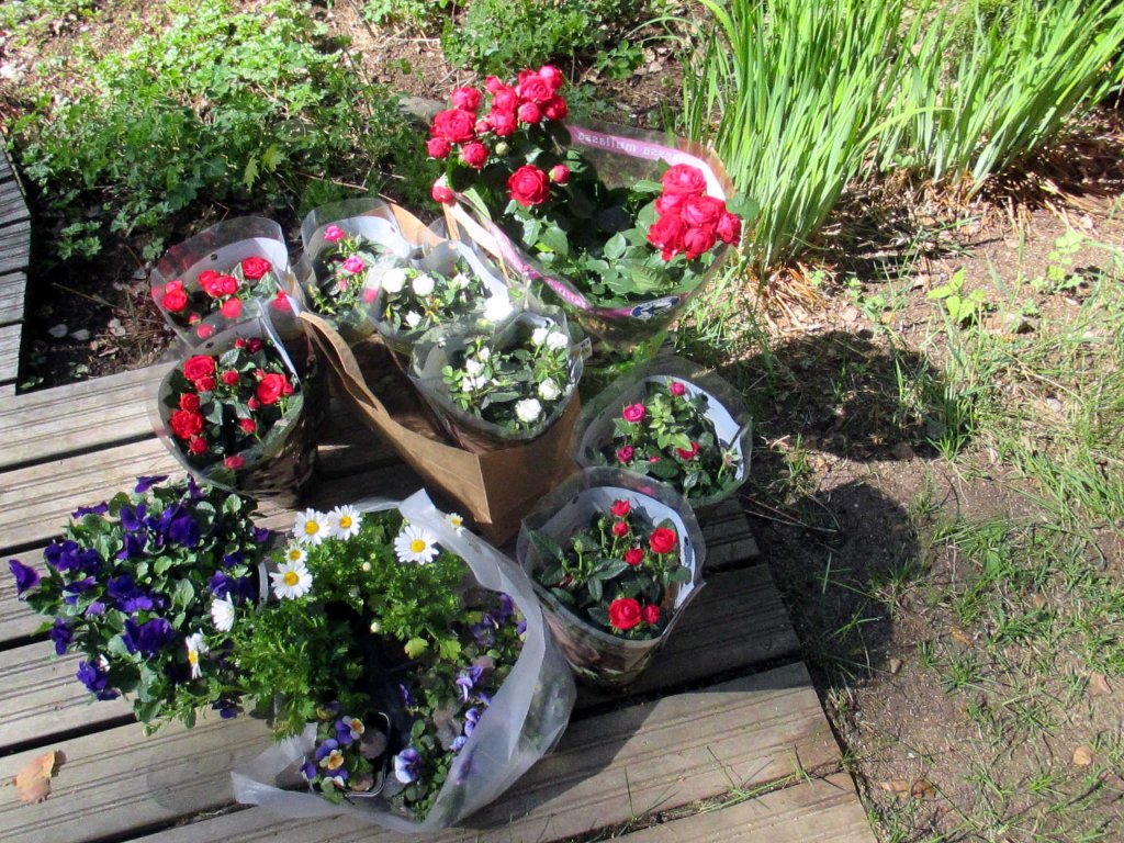 TERVEISIÄ PUUTARHALTA