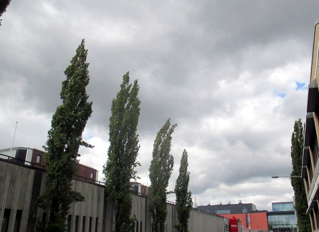 TUMMIA PILVIÄ GOODMANIN YLLÄ