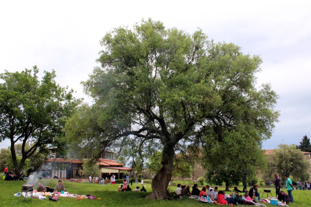 VAPUNPÄIVÄN PIKNIK APOLLONIASSA