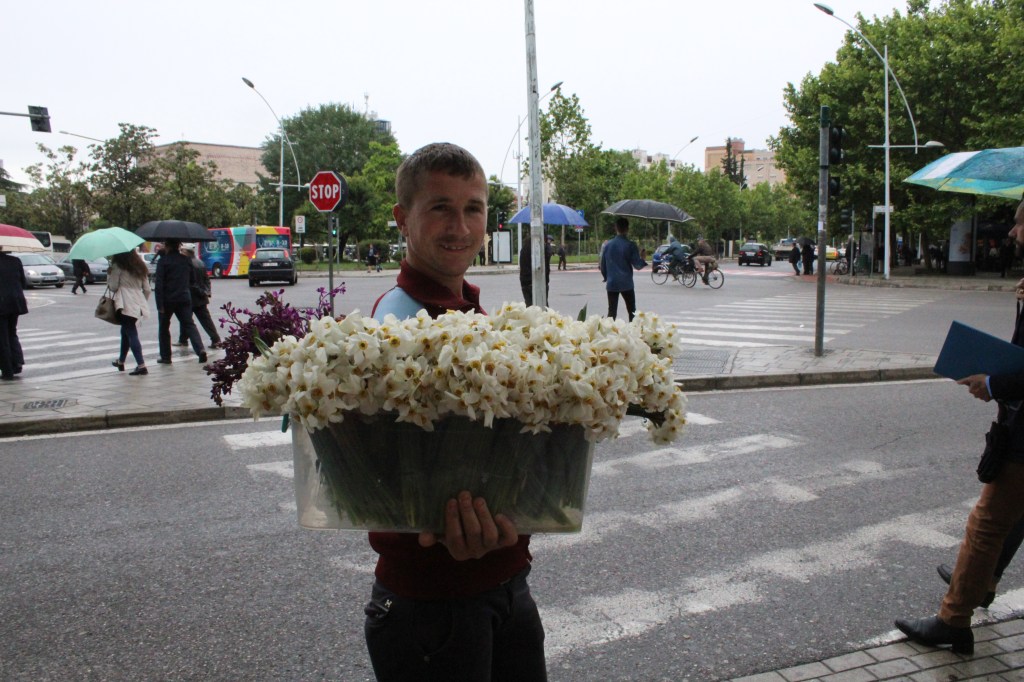 KEVÄTKUKKIA TARJOLLA