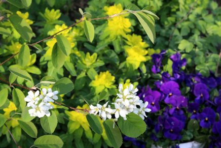 kesä alkoi torstaina