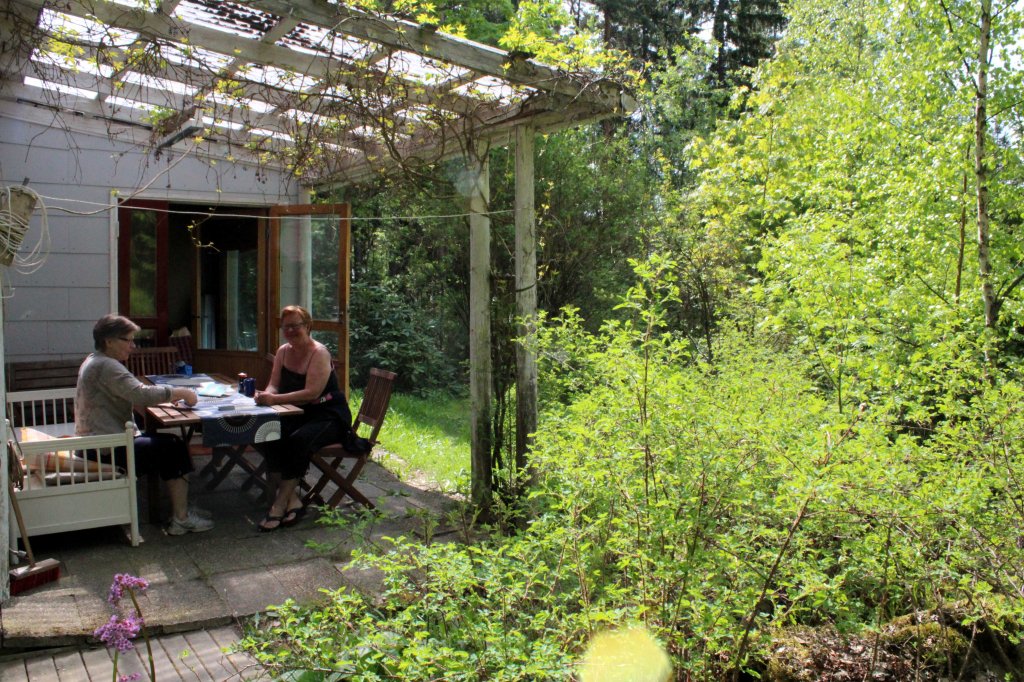 CANASTAPELI JATKUI PÄIVÄNVALOSSA