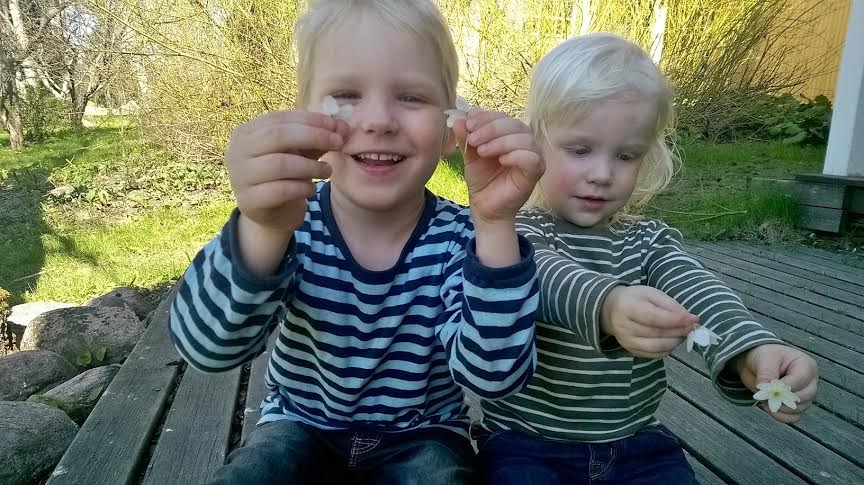 MIIKAN ÄITIENPÄIVÄTERVEHDYS