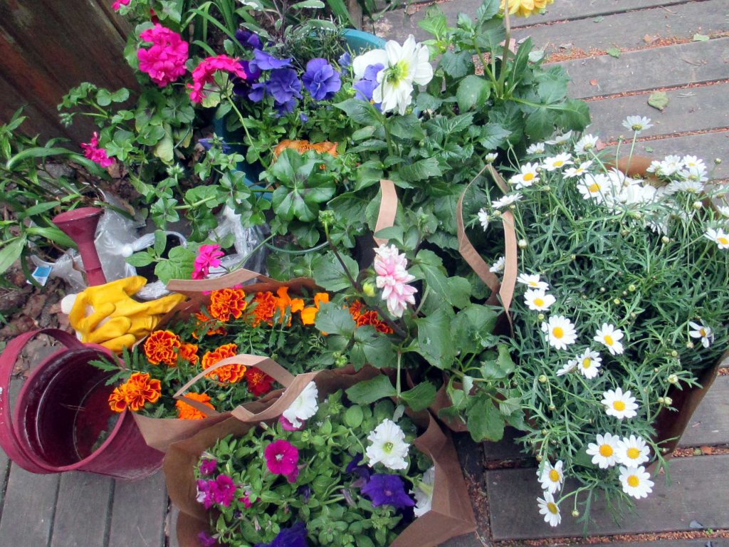 KESÄKUKAT OLIVAT TARJOUKSESSA