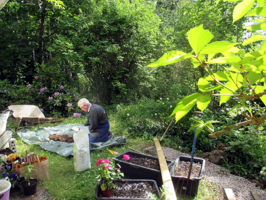 LAATIKKOVILJELMÄT KUKOISTAVAT TUOTA PIKAA