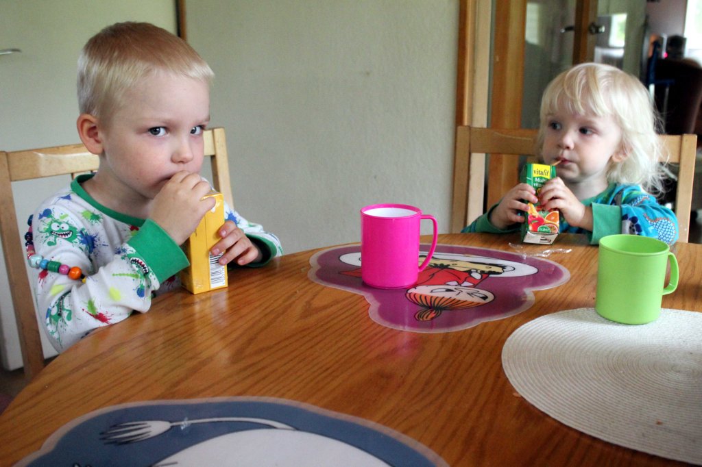 OTSO JA VISA JUHLISTIVAT JUHANNUSTA PILLIMEHUILLA