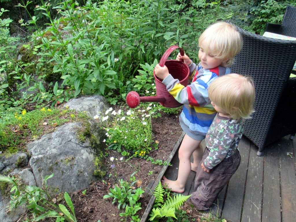 PIHAKUKAT SAIVAT VETTÄ TAIVAALTA JA POIKIEN KASTELUKANNUSTA