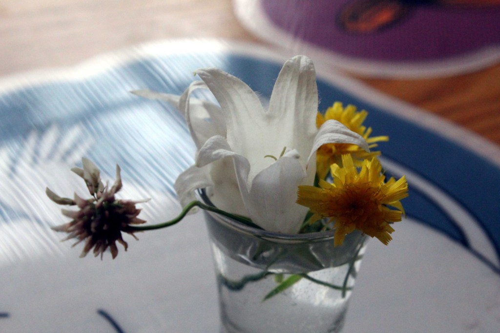 POJAT KERÄSIVÄT MUMMILLE KUKKIA