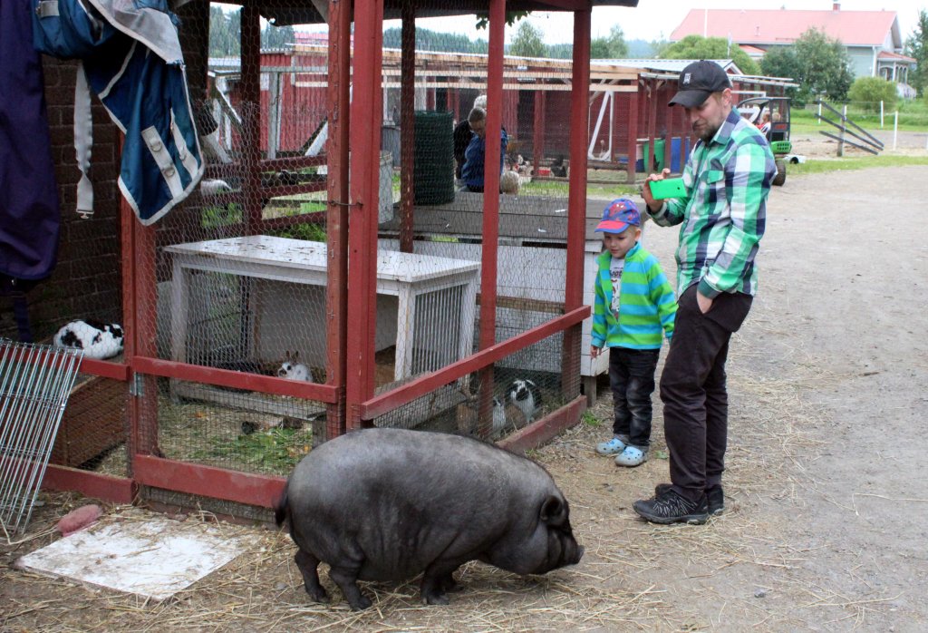 MINIPOSSUT KULKIVAT VAPAANA