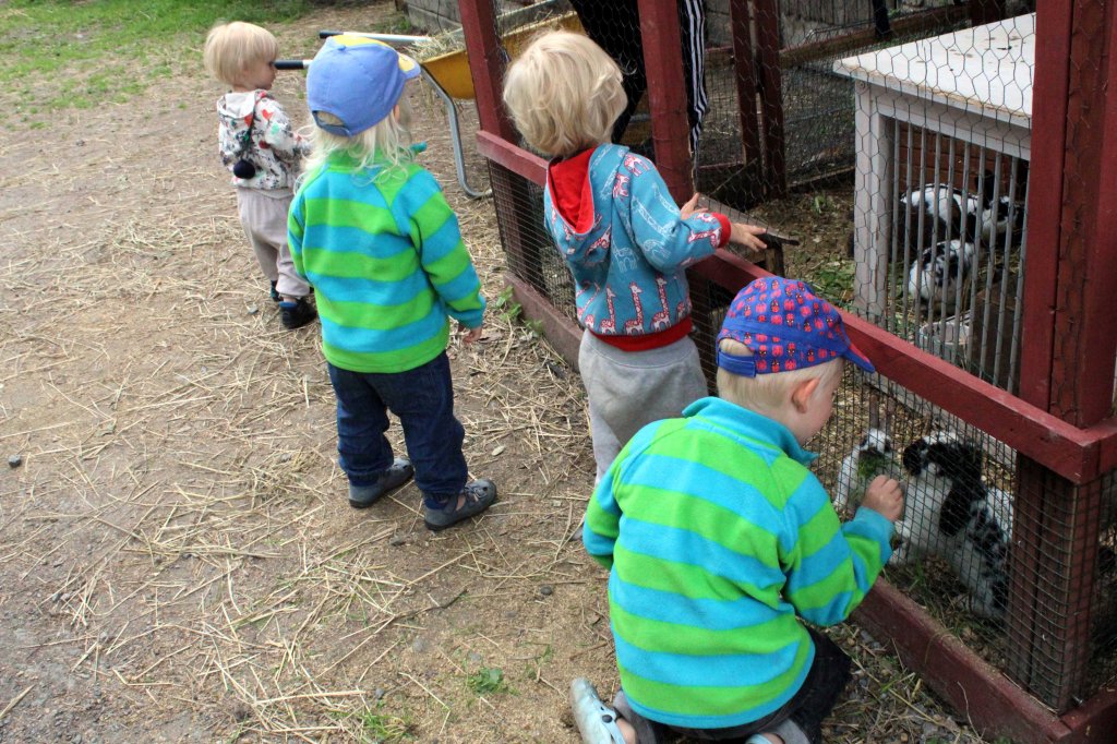 PUPUJUSSIT OLIVAT HELLYTTÄVIÄ