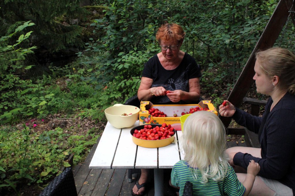 MANSIKKALAATIKKO TUOKSUI KESÄLTÄ