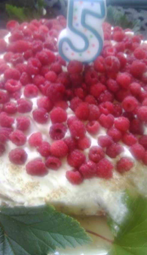 JANEN OMATEKOINEN KAKKU OTSOLLE