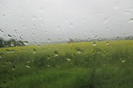 mökkikausi jatkuu viileässä&nbsp;säässä