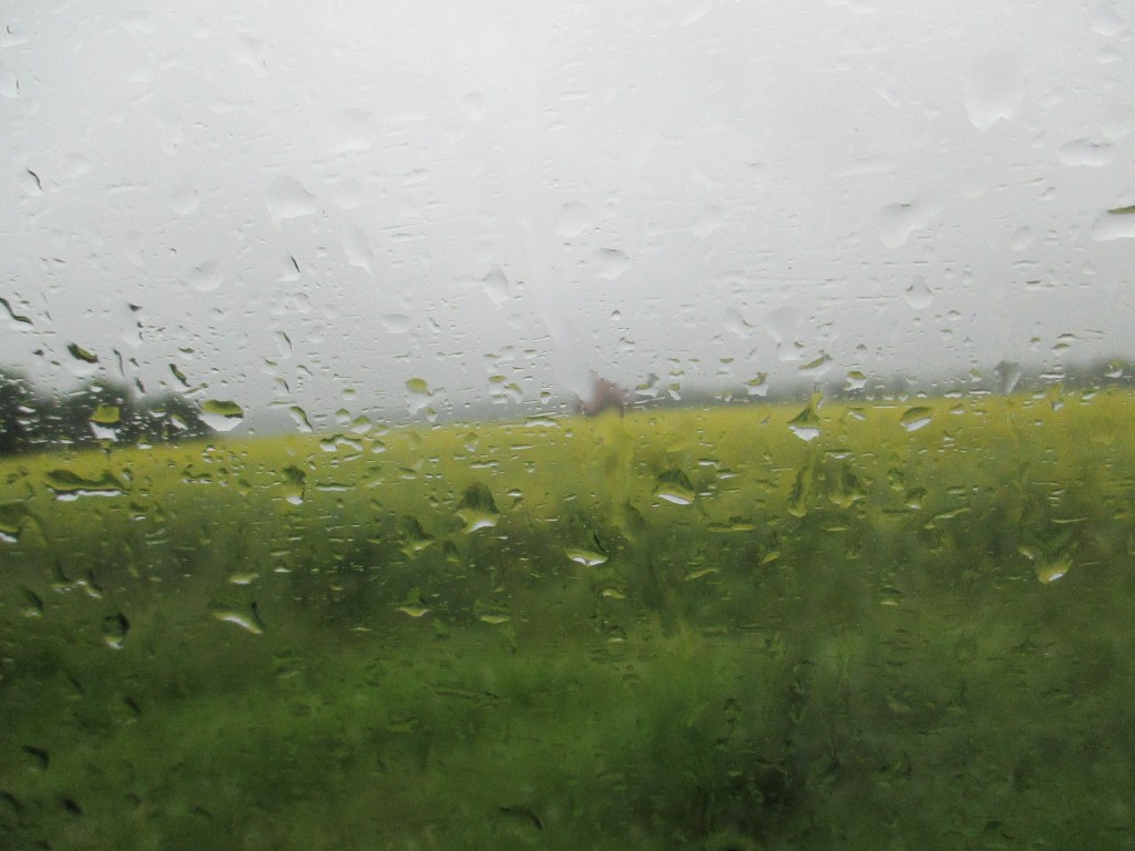 KESÄSATEITA ON RIITTÄNYT