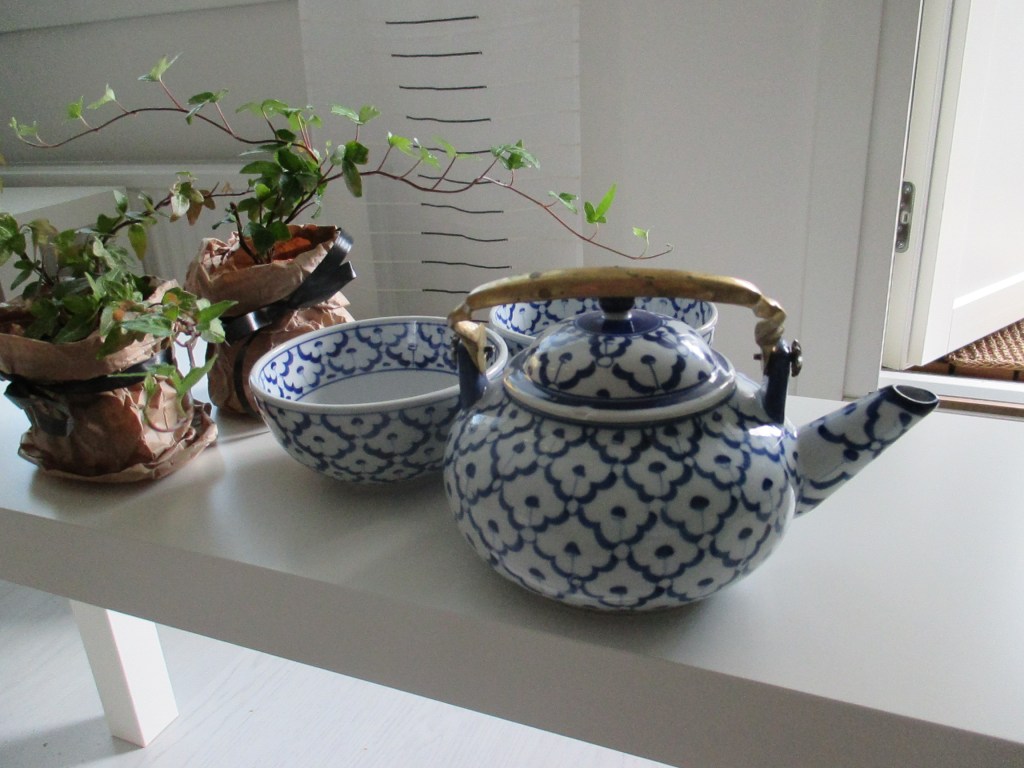 UUSI TEEPANNU ON SAMAA SARJAA KUIN THAIMAASTA TUODOT KULHOT - KIRPPARILTA LÖYTYI MYÖS MURATINTAIMIA