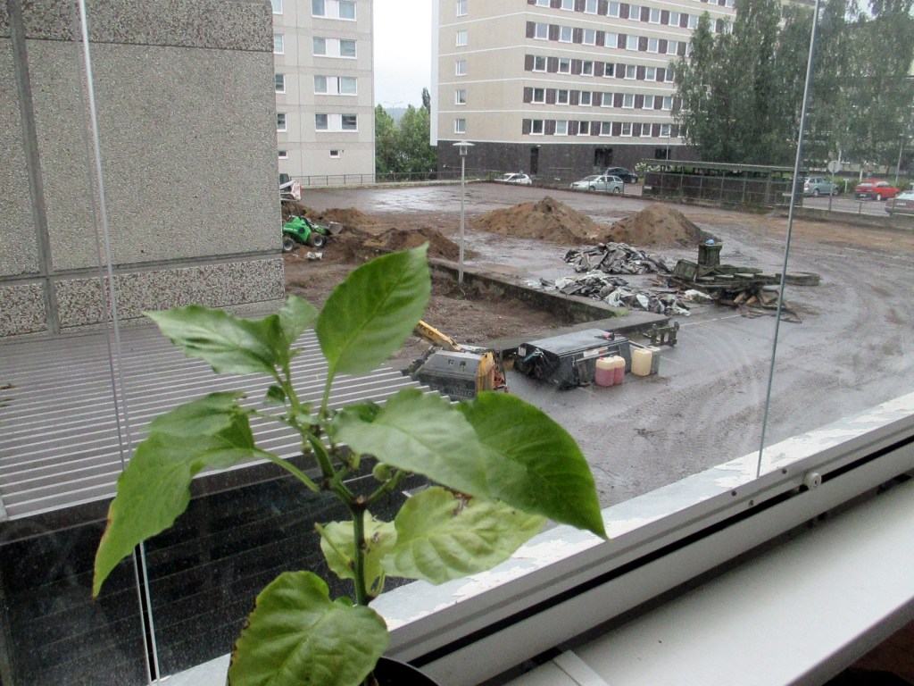 SISÄPIHAMME ON REMONTISSA - TÄYTYY USKOA ETTÄ HYVÄ SIITÄ TULEE...