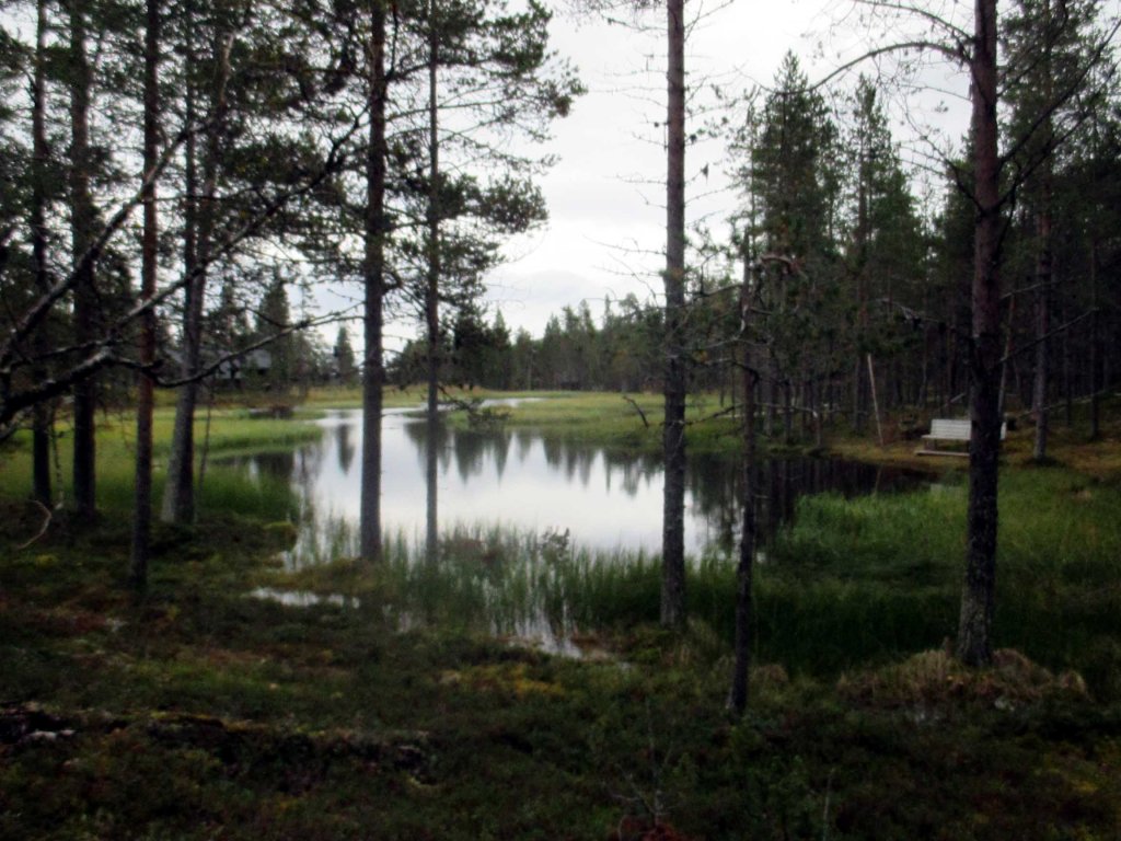 KULJIMME KAUNISTA POLKUA LAMMEN RANNALLA