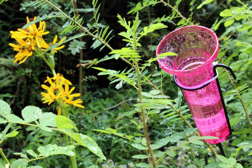 MEILLÄ ON UUSI SADEMITTARI, EDELINEN HALKESI