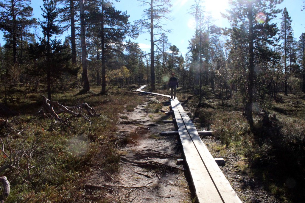 PITKOSPUUT HELPOTTIVAT KULKUA
