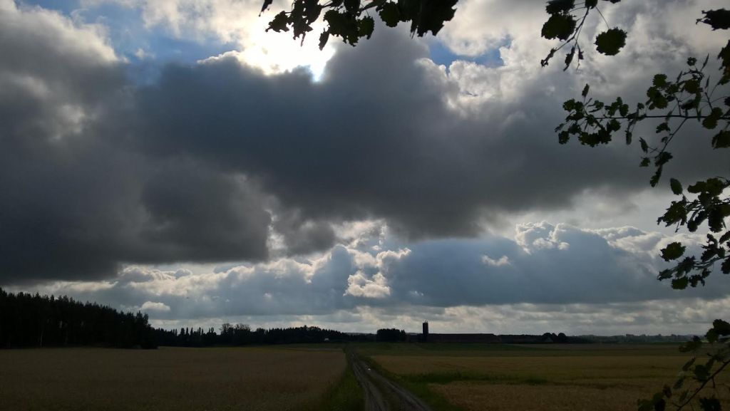 PILVIÄ VADELMAPENSAIDEN YLÄPUOLELLA