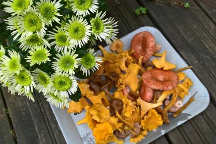 runsas sienisyksy 2016