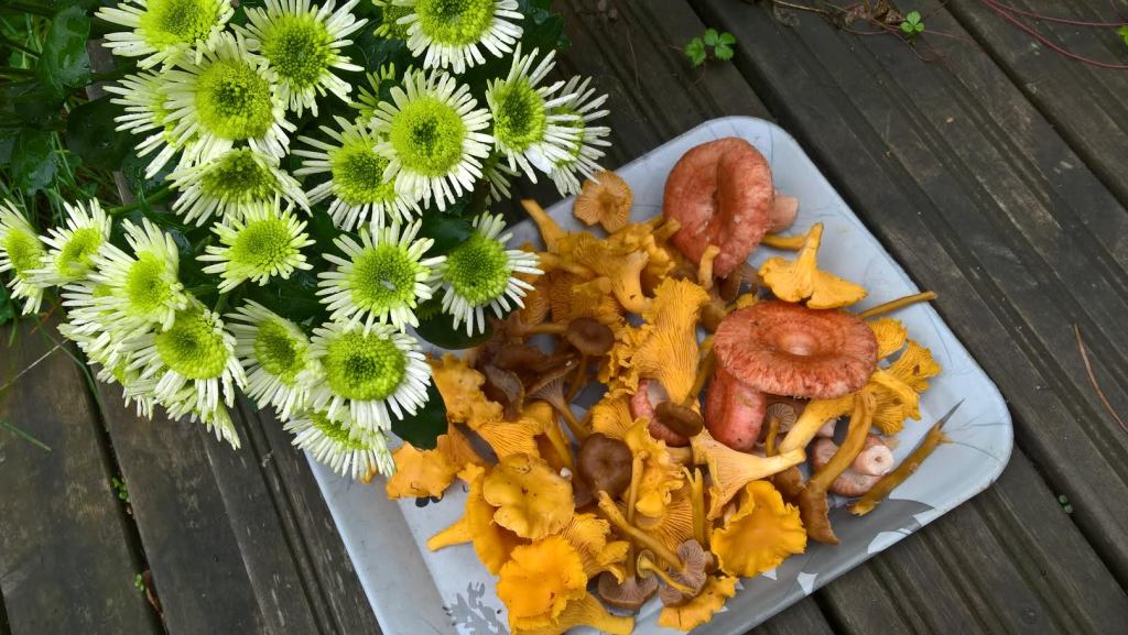 LOPPUKESÄN VÄRI-ILOA