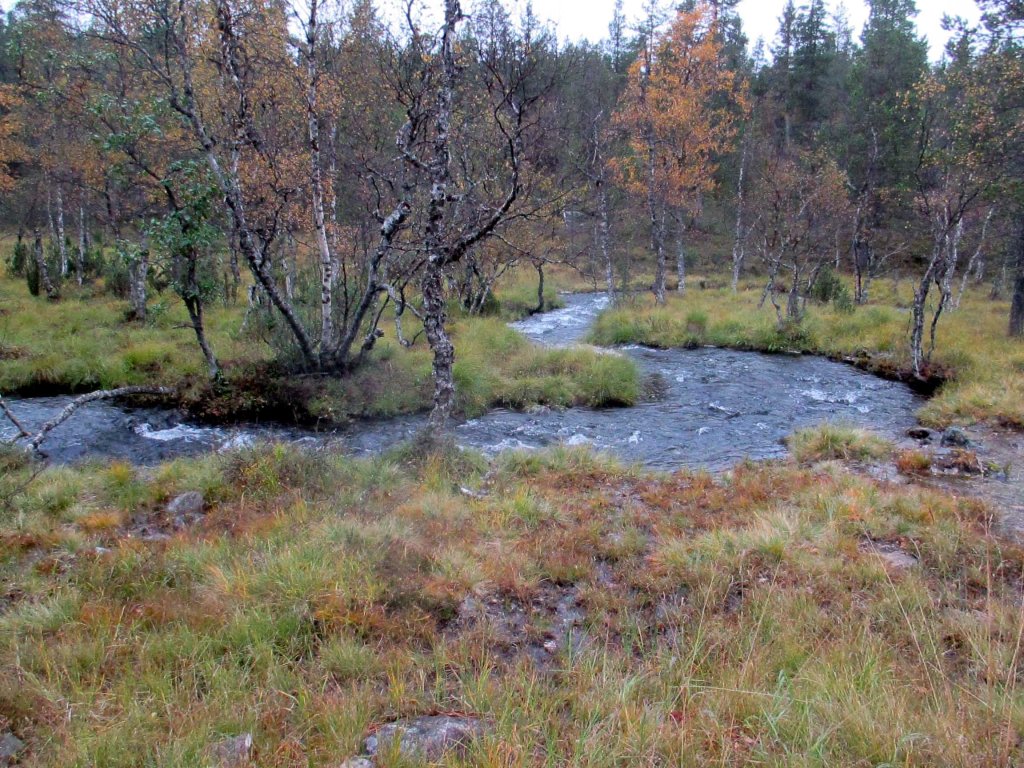 LUTTOJOKI VIRTASI VUOLAANA