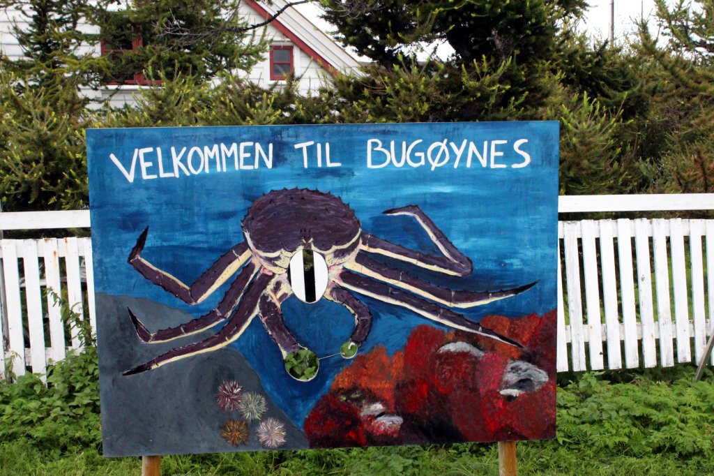 KUNINGASRAPU - JÄÄMEREN HERKKU